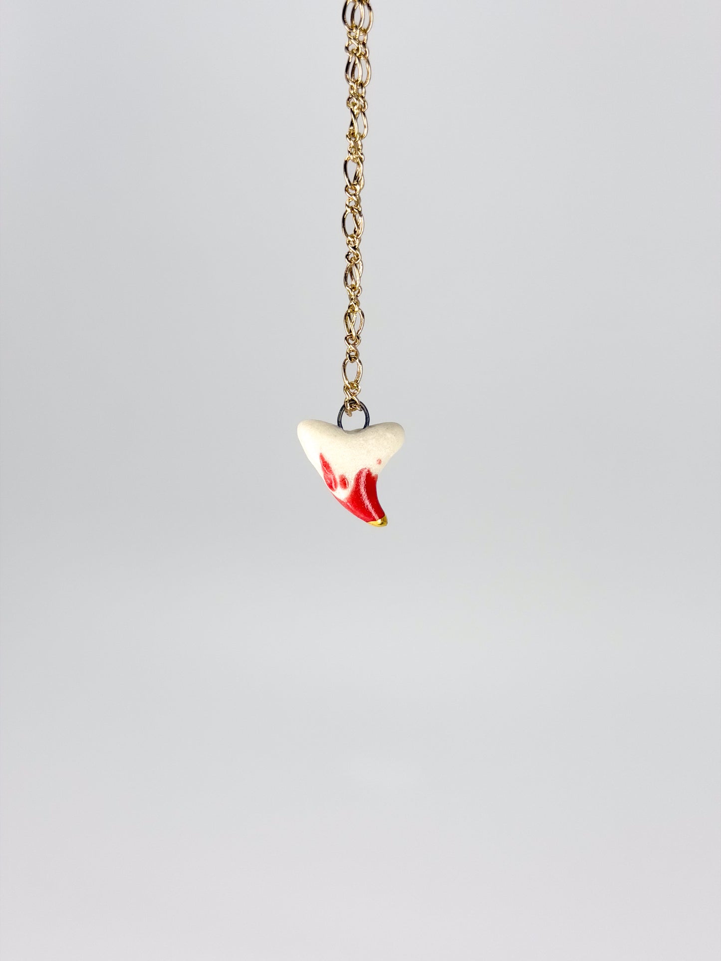 Tooth of a Predator Charm