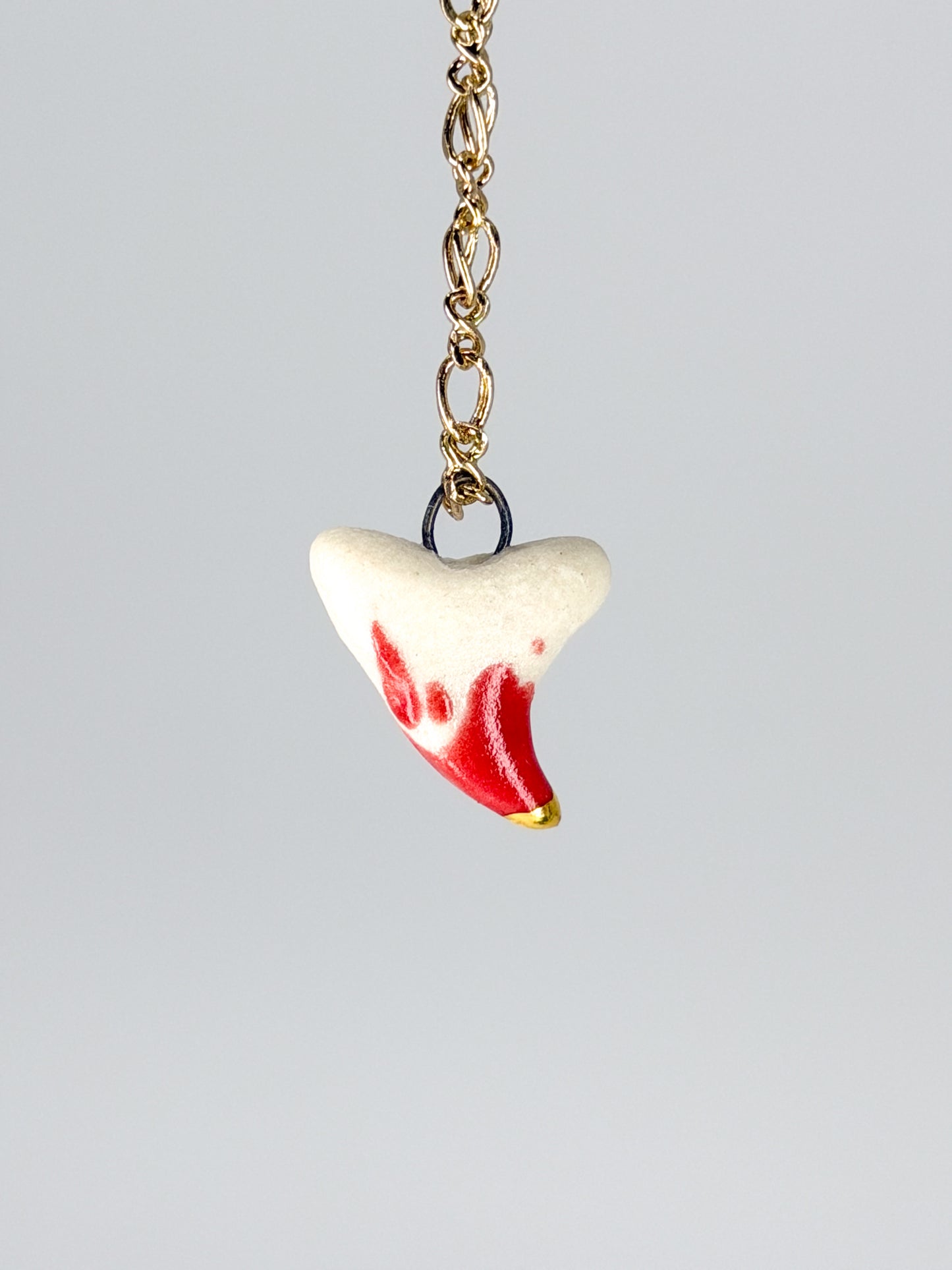 Tooth of a Predator Charm